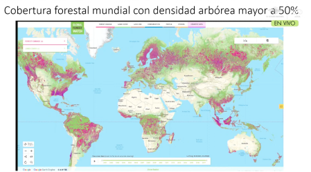 Mapa del Global Forest Watch.