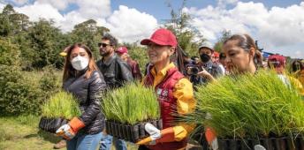 Claudia Sheinbaum en campaña de reforestación como jefa de gobierno en la CDMX.