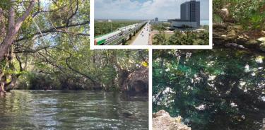 Cenotes y pueblos marginados, los afectados por el cambio de ruta del Tren Maya