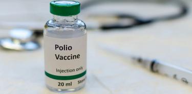 Las nuevas vacunas contra la poliomielitis ya se han probado con éxito en modelos animales.