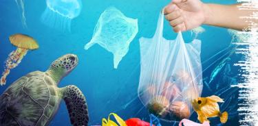En el mundo se producen cerca de 5 mil millones de bolsas de plástico, la mayoría de las cuales tiene un uso de menos de 15 minutos
