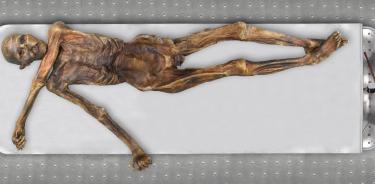 El hombre de hielo tirolés es conocido como una de las momias glaciares humanas más antiguas.