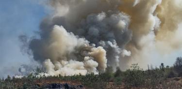 Controlan incendio en Parque Ecológico Cuemanco en Xochimilco