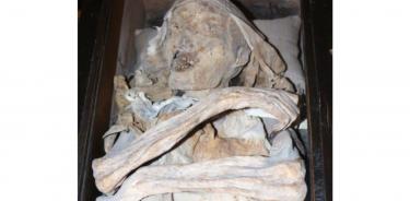 Buscan especialistas del INAH conocer quiénes eran las momias de San Ángel