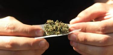 Ley para regularizar mariguana permitirá portación de 5 a 28 gramos