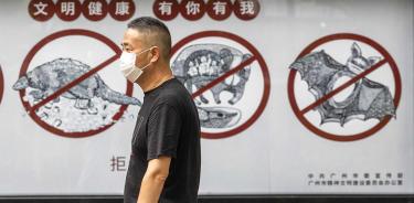 Expertos de la OMS ya están en Wuhan para estudiar el origen del coronavirus