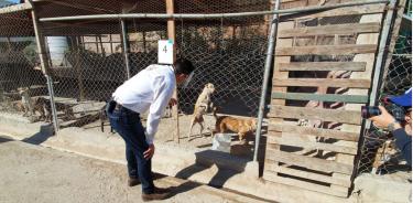 Armando Ayala Robles, alcalde de Ensenada, consolida compromiso de crear refugio animal