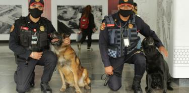 Patrulla canina vigila estaciones del Metro de la CDMX