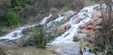 Los derechos de propiedad del agua: ¿Su deliberado incumplimiento en México?
