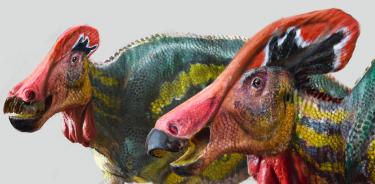 Hallan INAH y UNAM colosal dinosaurio mexicano; vivió hace 72 millones de años