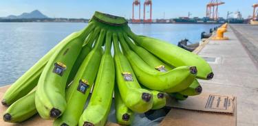 Envía México primer embarque de plátano a China: 39 toneladas