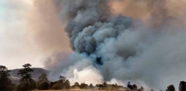 Registra Puebla ocho incendios forestales