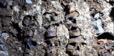 Buscan el origen de los cráneos del tzompantli del Centro Histórico