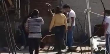 Familia tortura a su perro hasta matarlo, en Tlalnepantla
