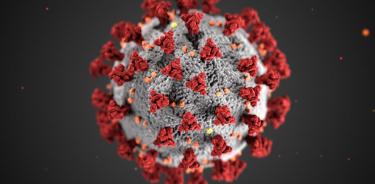 Guía urgente para afrontar la pandemia por coronavirus
