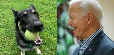 Joe Biden se fractura el pie jugando con su perro
