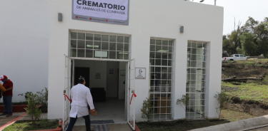 Primer crematorio público para animales en CDMX, ha brindado más de 1200 servicios