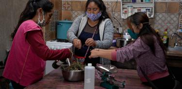 En Chiapas usan plantas medicinales para fortalecer sistema inmunológico ante el COVID