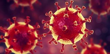 ¿Qué es un  coronavirus?