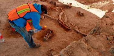 Piden a INAH considere sitio de mamuts como patrimonio cultural
