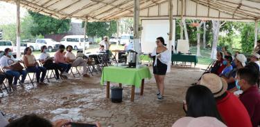 Impulsan participación turística y económica de juventudes en la Ruta Tren Maya