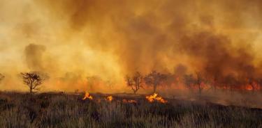 Australia destina dos mil mdd para la recuperación por los incendios