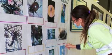 Niños de San Luis Potosí retratan la biodiversidad