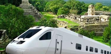 El Tren Maya, una veta para el crimen organizado; daño ecológico y despojos