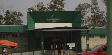 Revivirán hospital veterinario abandonado por Mancera