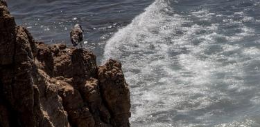 Nivel del mar se acelera y es imparable, alertan expertos de la ONU