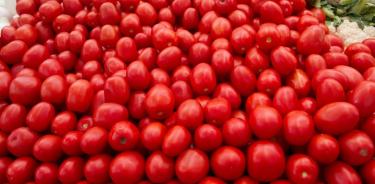 Más de un millón de afectados por antidumping al tomate mexicano: Seade