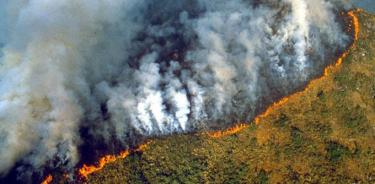 Bolsonaro culpa a las ONG por incendio que arrasa al Amazonas