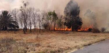 Segundo incendio en pastizales del Parque Ecológico de Xochimilco
