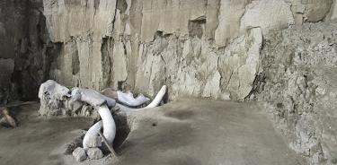 Descubren dos trampas para mamut en Tultepec; tienen huesos de 14 ejemplares