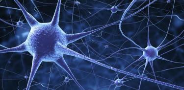 Neuronas artificiales abren esperanzas en males degenerativos