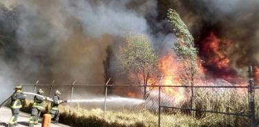 Se incendian pastizales del Parque Ecológico Xochimilco