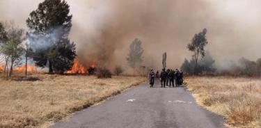 Controlan fuego en Parque Ecológico Xochimilco, sigue en Ciénega Grande