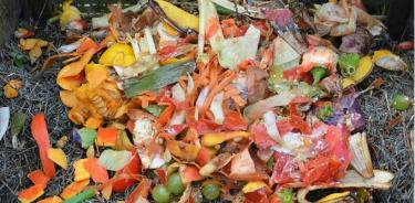 Buscan sustituir plástico con residuos agroindustriales