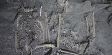 Hallan restos de mono araña en una ofrenda de Teotihuacán