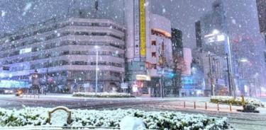 Suspenden decenas de vuelos en Japón por nevadas