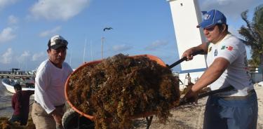 Puerto Morelos encabeza estrategia contra el sargazo