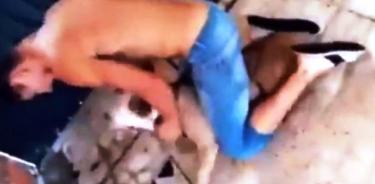 Hombre golpea a perrito pitbull en Iztapalapa