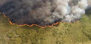 Controlan un 55 por ciento del incendio en Reserva de la Biosfera Sian Ka'an