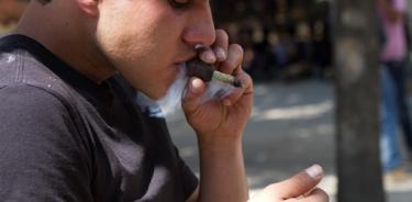 Reconoce Monreal presiones para elaborar dictamen sobre regulación de la mariguana