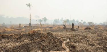 Bolsonaro rechaza la ayuda del G-7 contra los incendios en la Amazonia