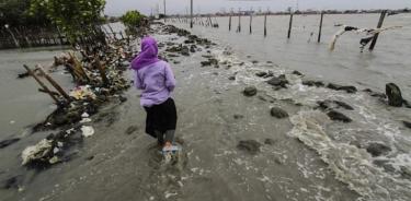 Hasta 300 millones de personas podrían sufrir por el aumento del nivel del mar