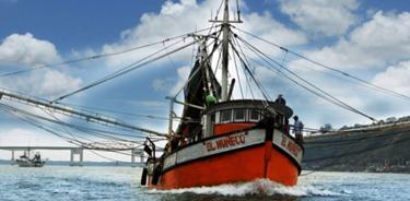Consenso: reforma a Ley de Pesca evitará el colapso de pesquerías