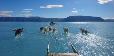 Captan el drama del deshielo de Groenlandia en una foto