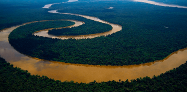 La selva amazónica se está secando por la actividad humana: NASA