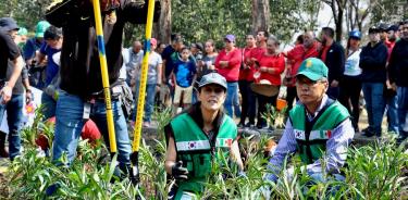 En dos meses, proyecto de rehabilitación del Bosque de Chapultepec